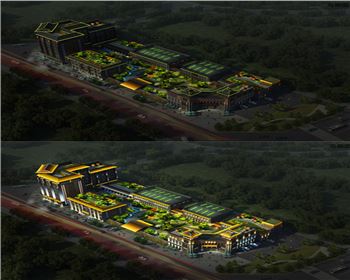 景觀燈涇陽(yáng)項(xiàng)目